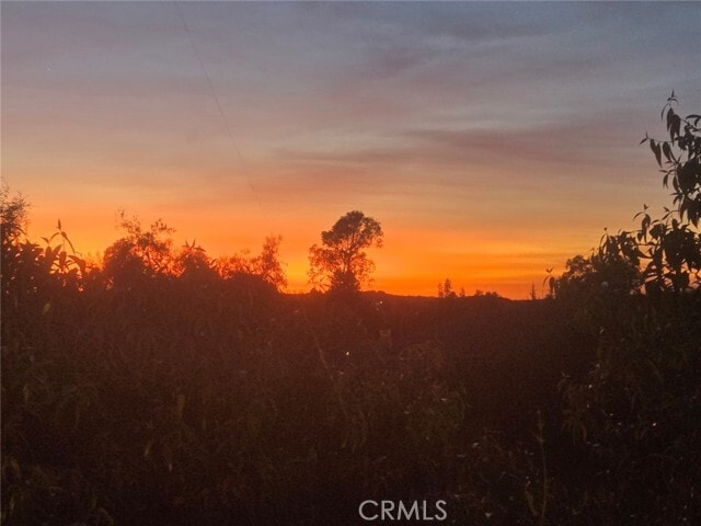 Building Photo - 565 Lori Dr