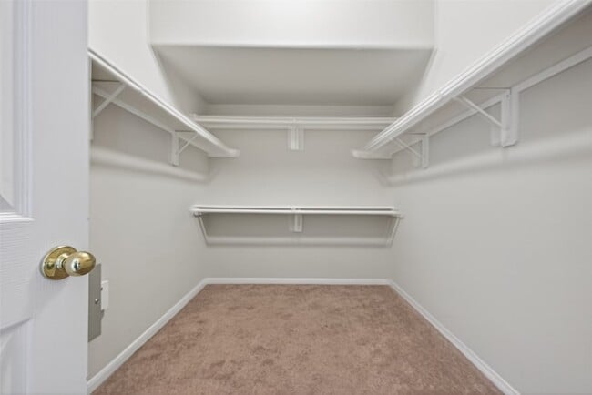 Building Photo - 2610 Argos Dr