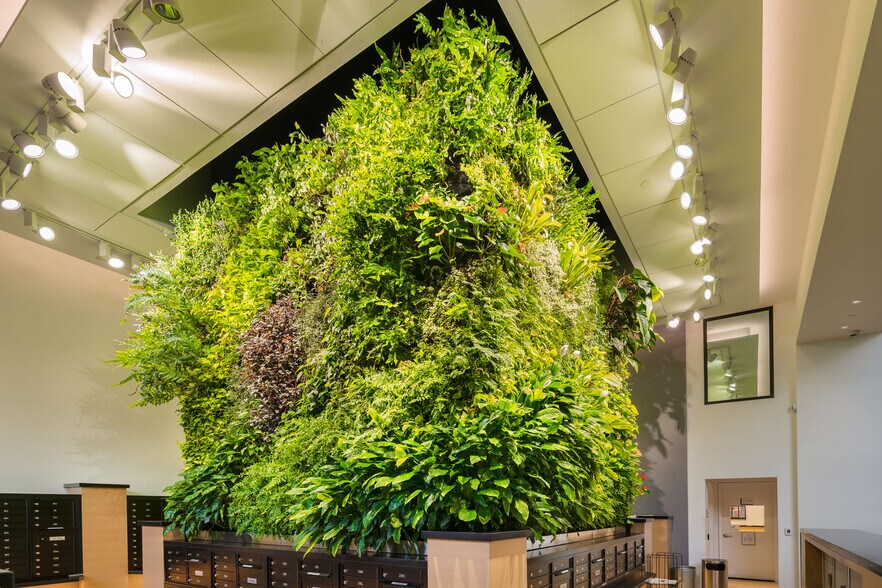 live wall - 250 Gorge Rd