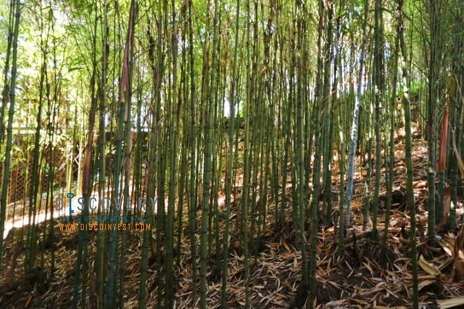 Building Photo - Contemporary Montclair 3+ Bedroom Canyon H...