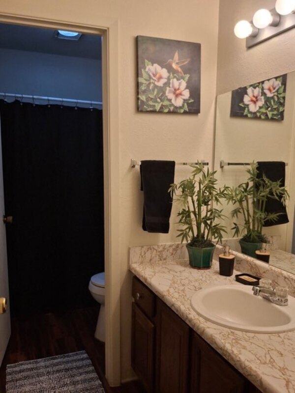 Building Photo - 1409 Paseo Del Oro