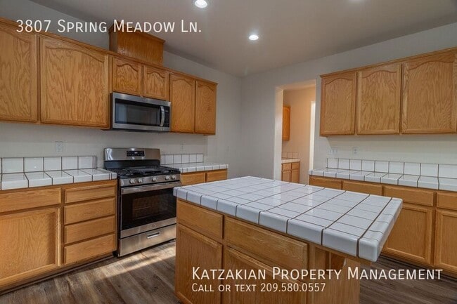 Building Photo - 3807 Spring Meadow Ln