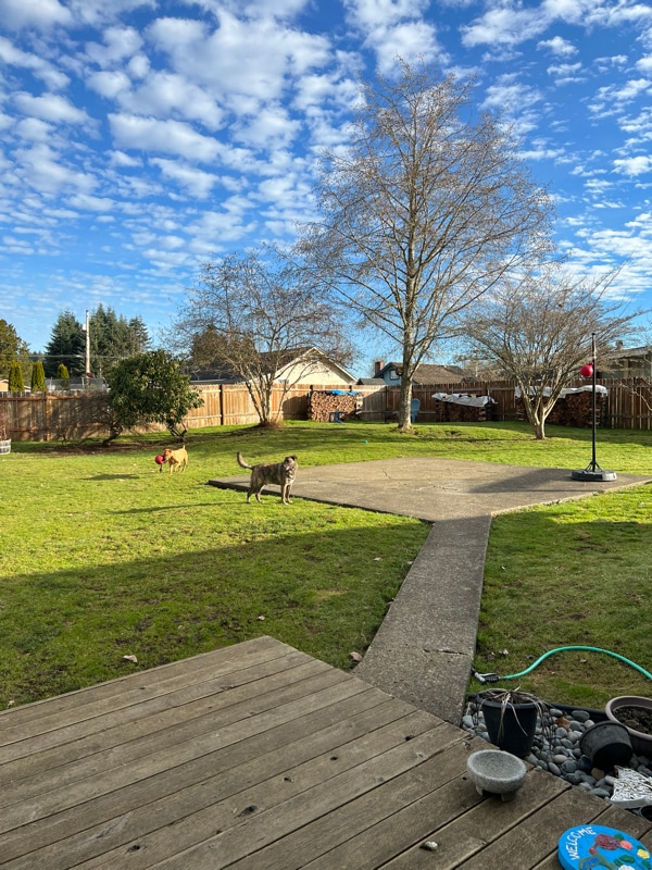 Building Photo - 1287 Paulding St