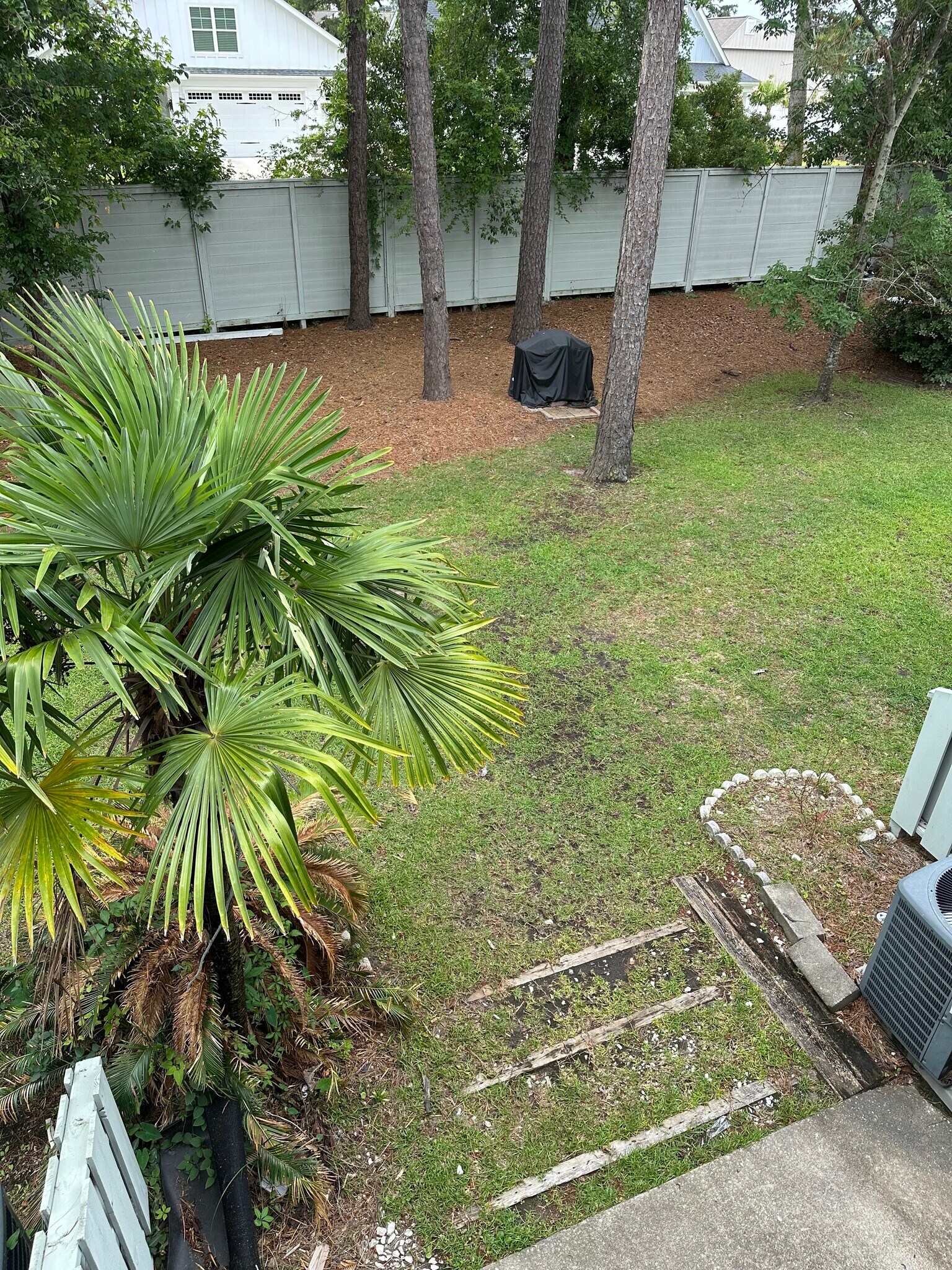 Back yard - 100 Shadow Moss Pl