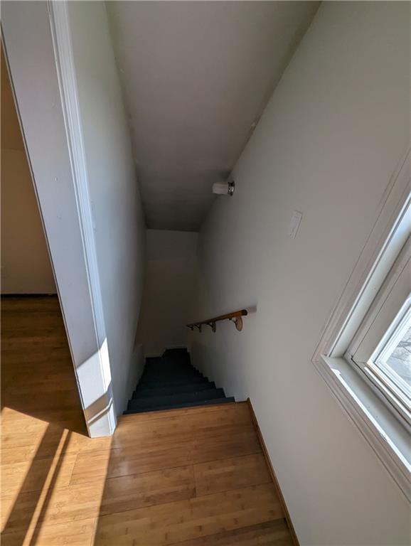 Building Photo - 61 Utton Ave