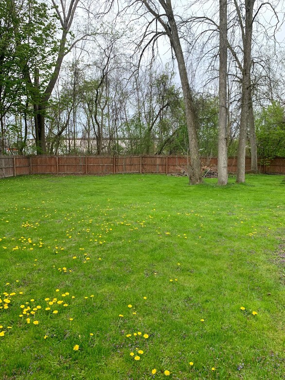 Building Photo - 101 Dale Dr