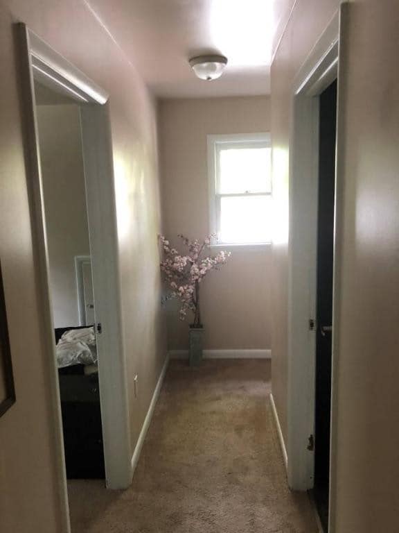 Building Photo - 589 Shelbourne Rd