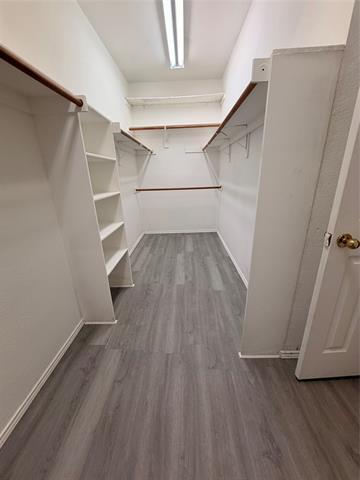 Building Photo - 2101 Meredith Ln