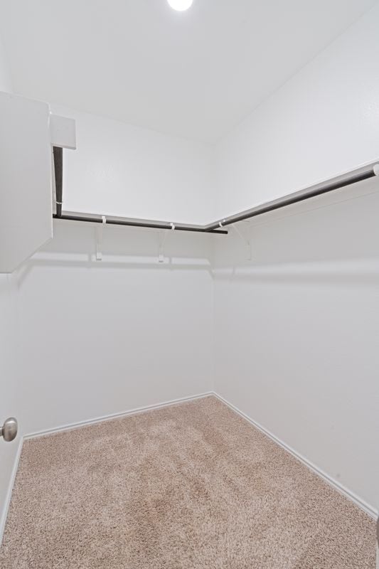 Building Photo - 2308 Nightview Dr