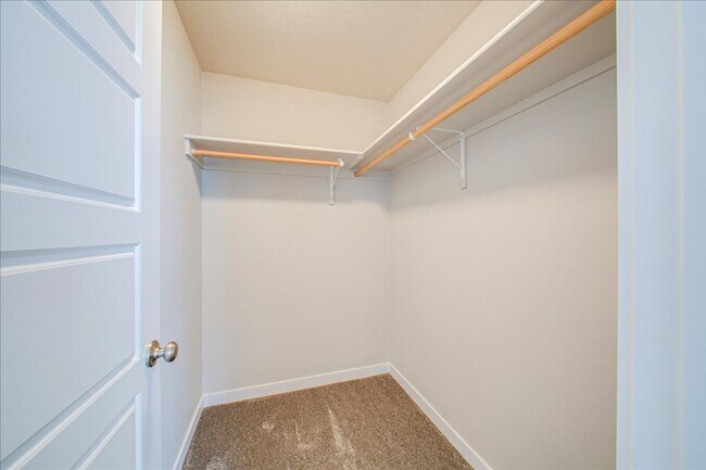 Building Photo - Two Story, Spacious Star Home!