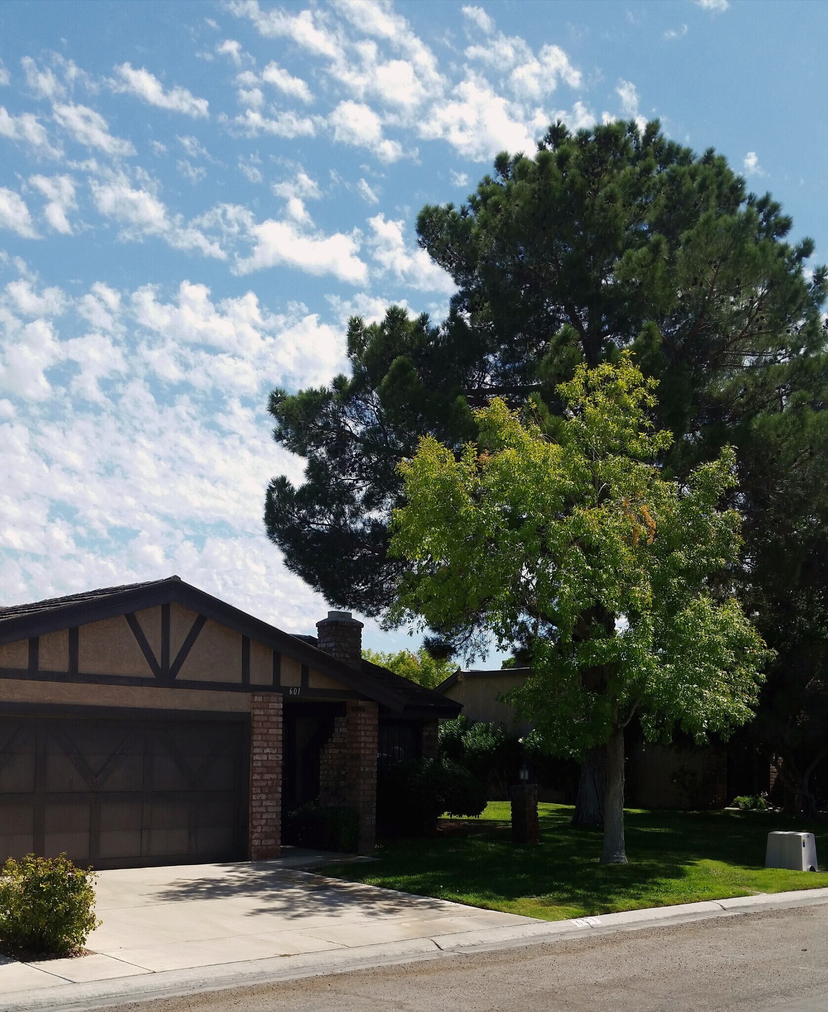 Building Photo - 601 Buttonwood Ln