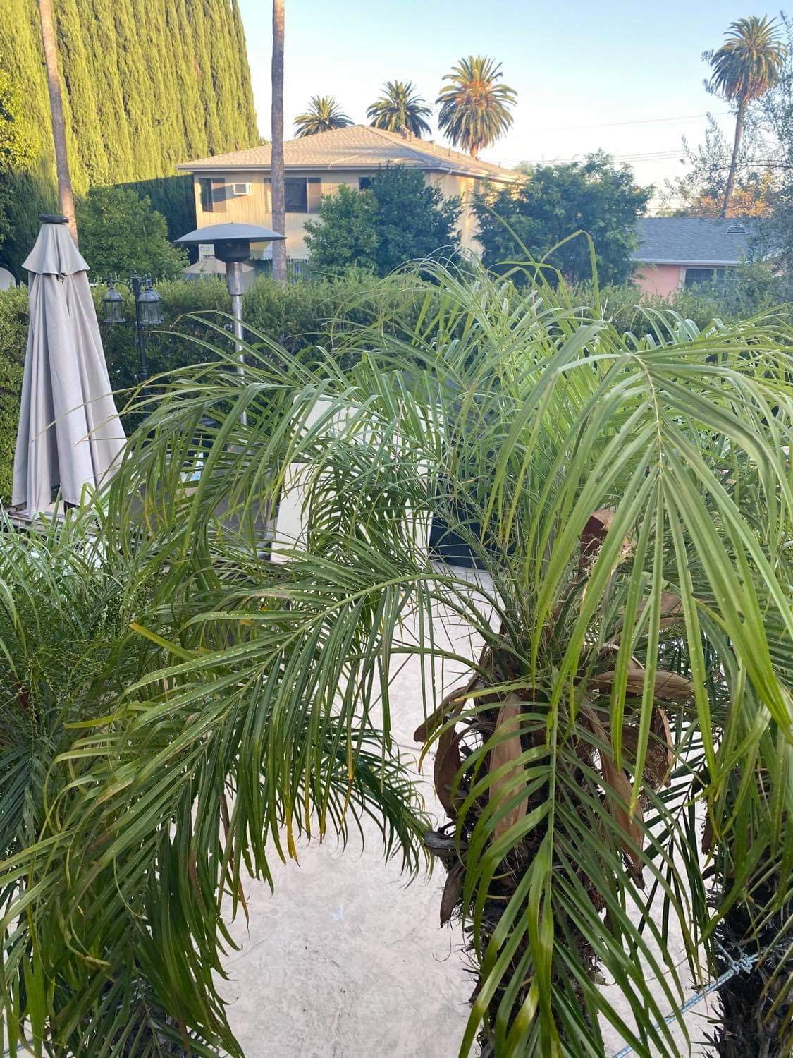 Building Photo - 4525 Avocado St