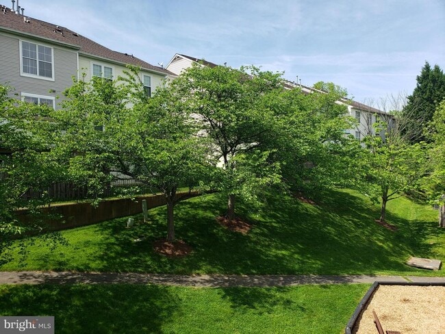 Building Photo - 18022 Royal Bonnet Cir