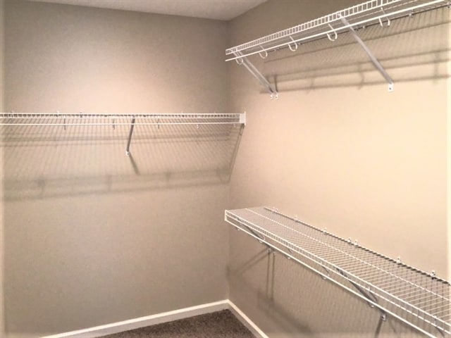 Building Photo - 352 Brighton Woods Dr