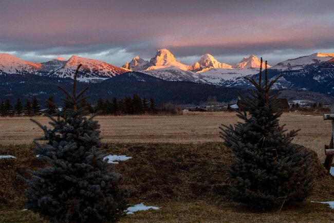 Building Photo - 4535 Roxanne St