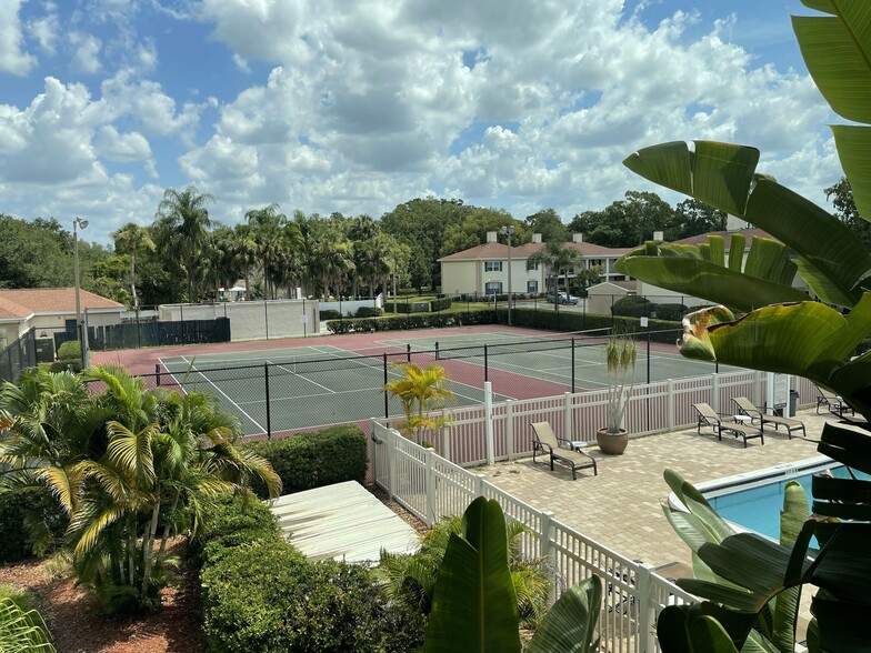 View from Gym - 10356 Carrollwood Ln