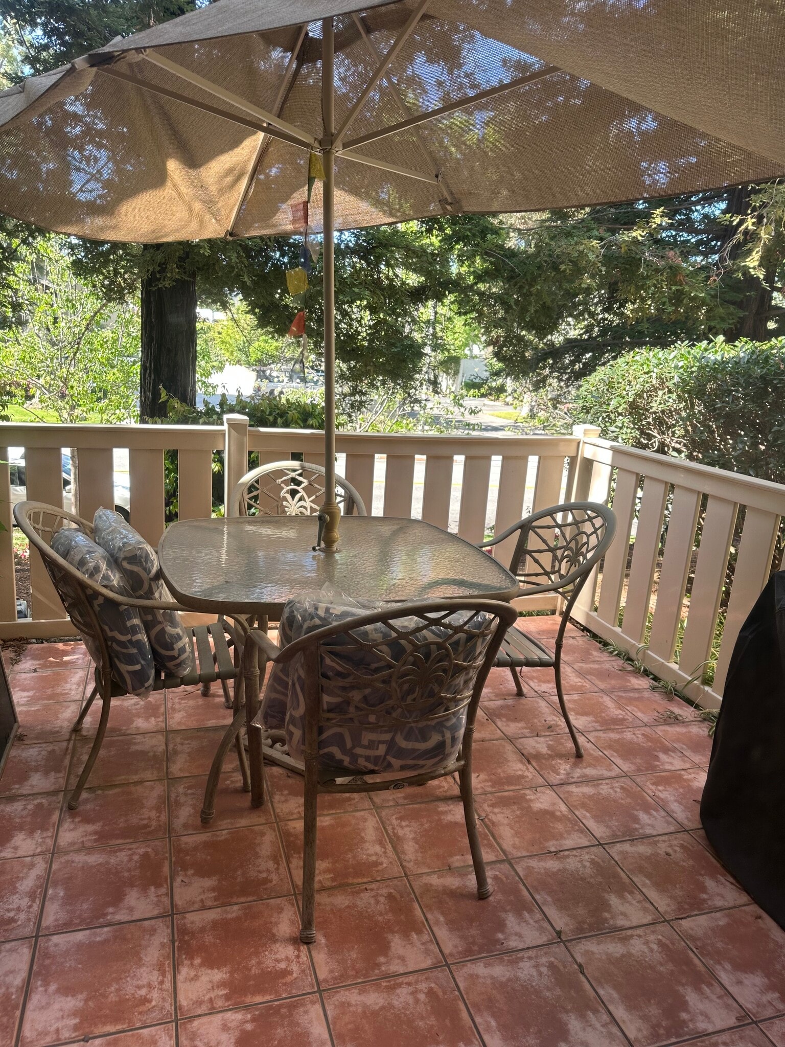 Big Patio - 460 Arbor Lane Ct