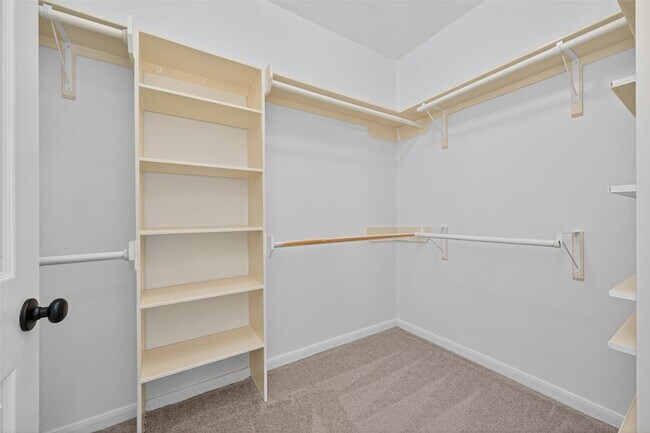Building Photo - 1003 Alp Springs Ln