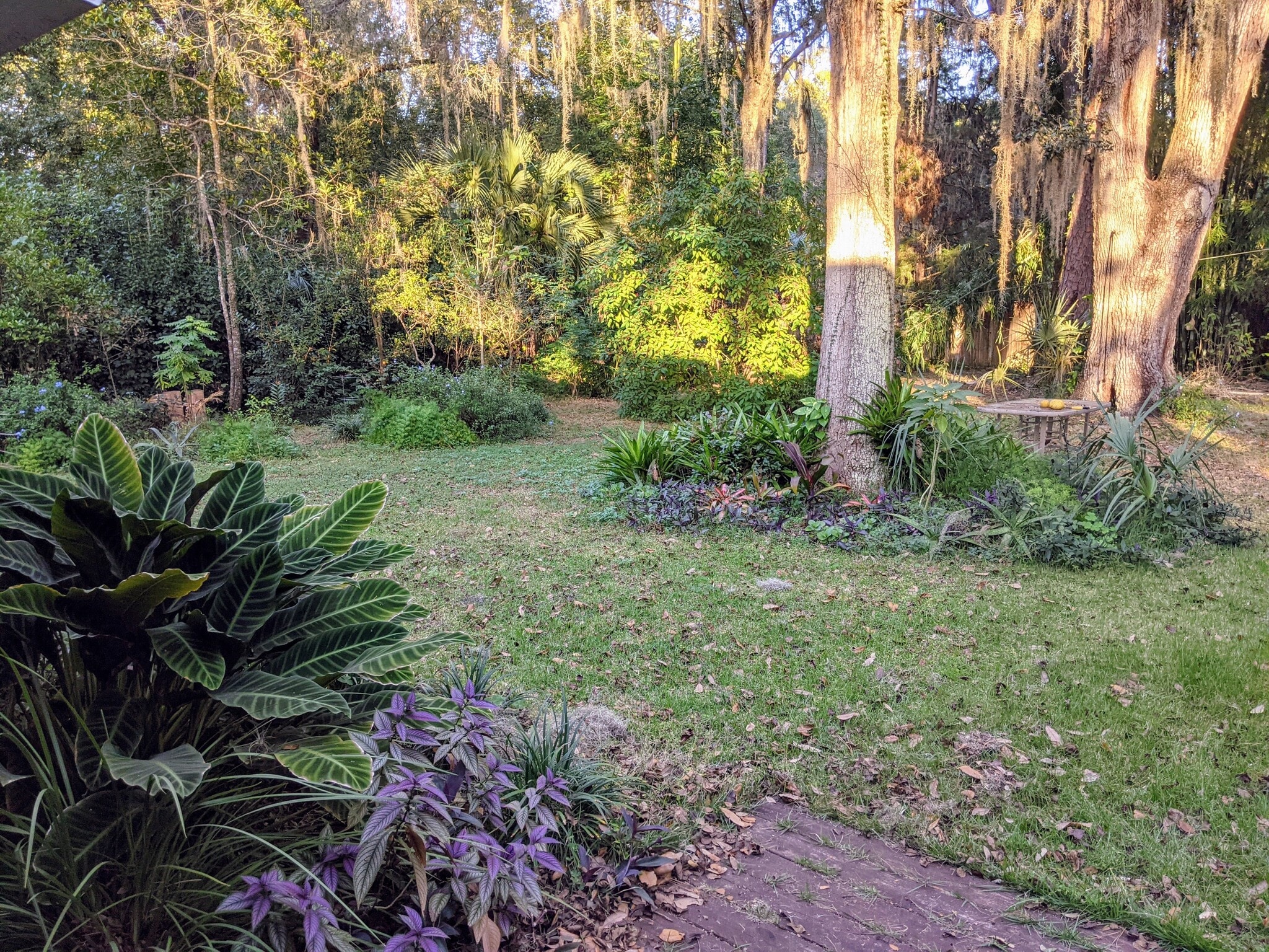 backyard oasis - 513 NE 9th St