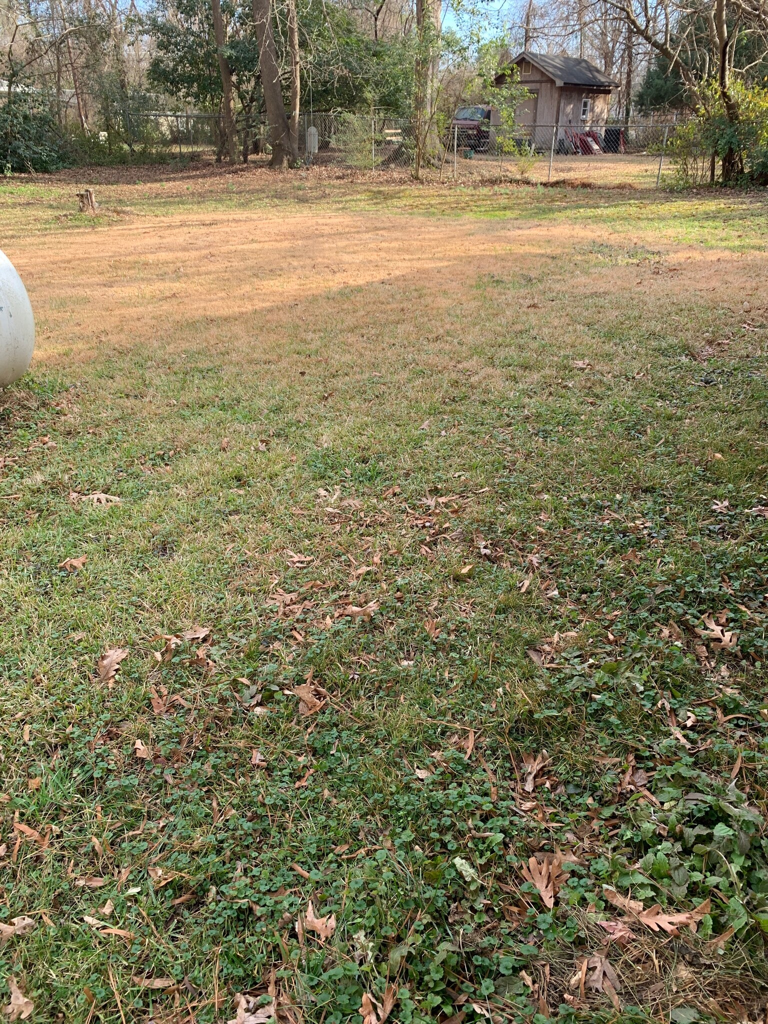 Large rear yard - 702 N Lee St