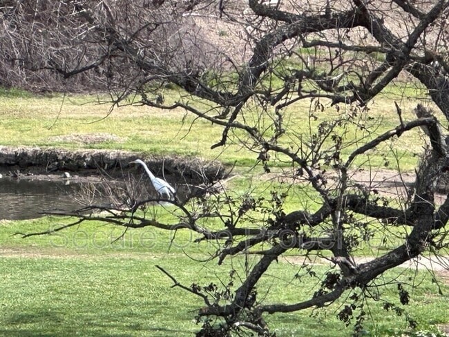 Building Photo - 30802 Padova Ct