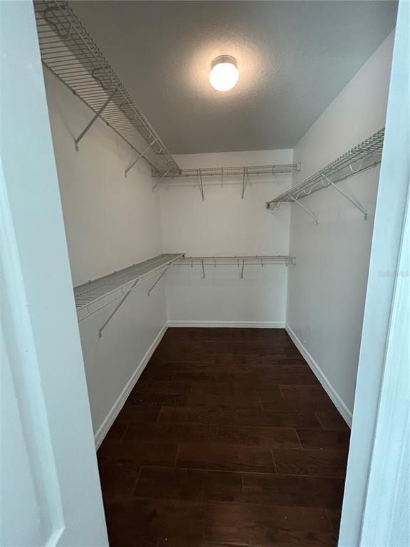 Building Photo - 2468 Brewerton Ln