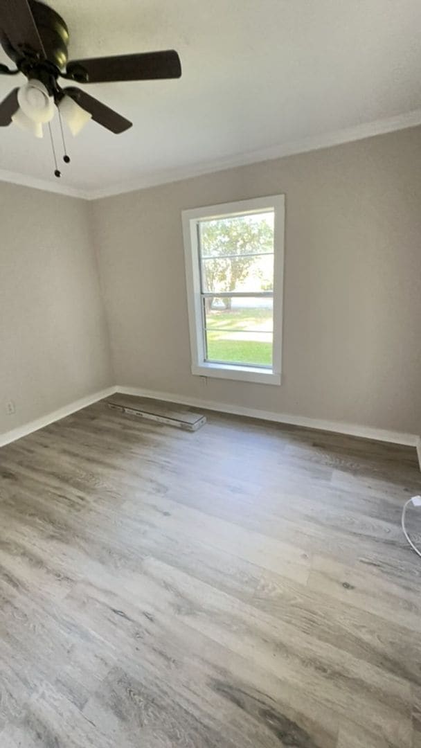 Building Photo - 501 Norvell St