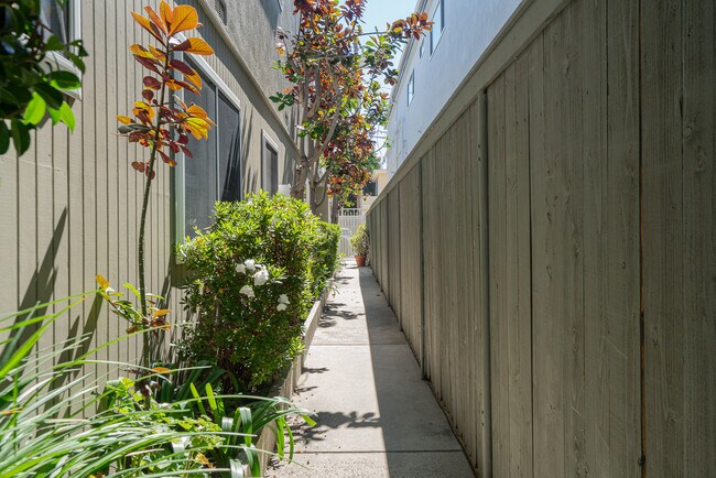 garden walkway - 1134 23rd St