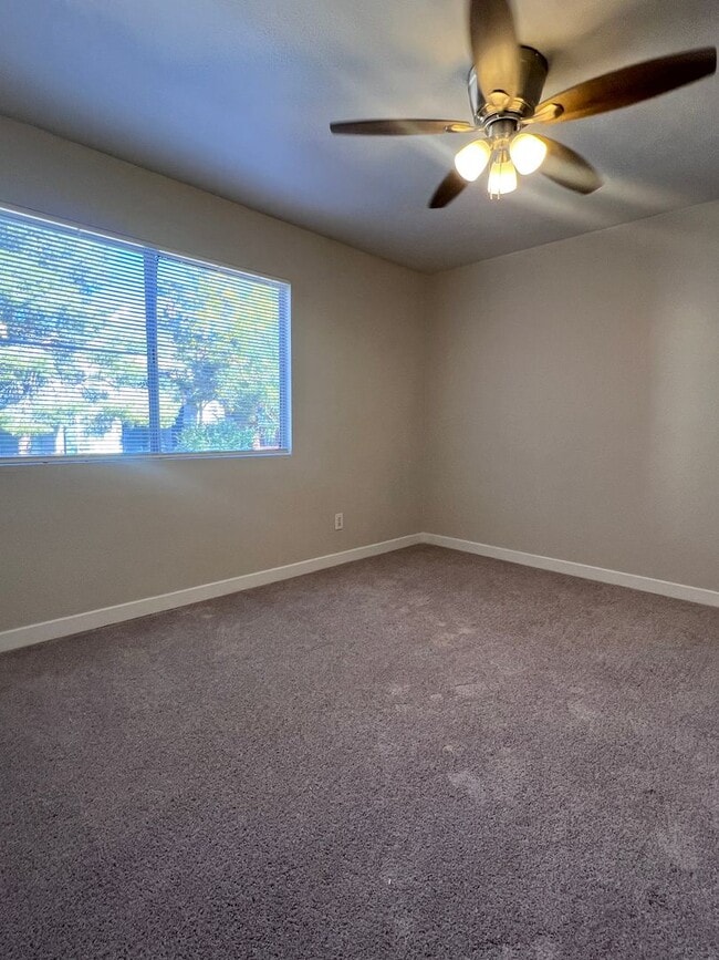 Building Photo - Newly Remodeled 2 bed 2 bath at Park One