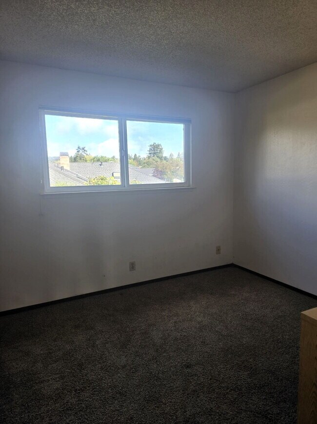 Building Photo - SUPER Spacious Westside Santa Cruz Home wi...