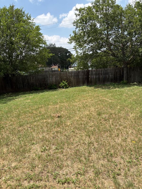 Building Photo - 10831 Laurel Creek