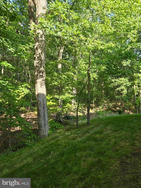 Building Photo - 803 Blue Wing Ct