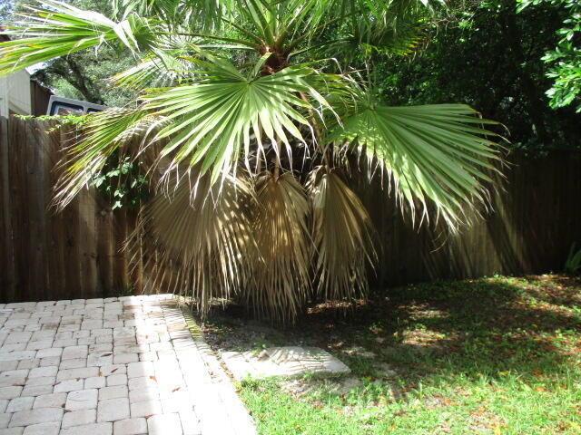 Building Photo - 333 Woodham Ct