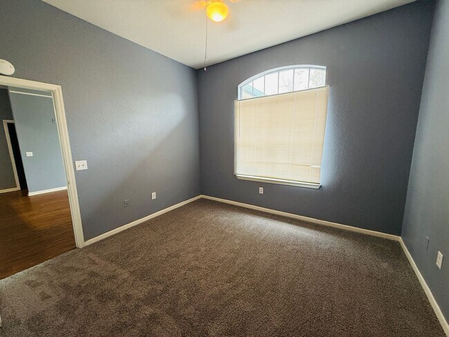 Building Photo - Newly painted Two Bedroom, Two Bathroom For Rent in New Tampa