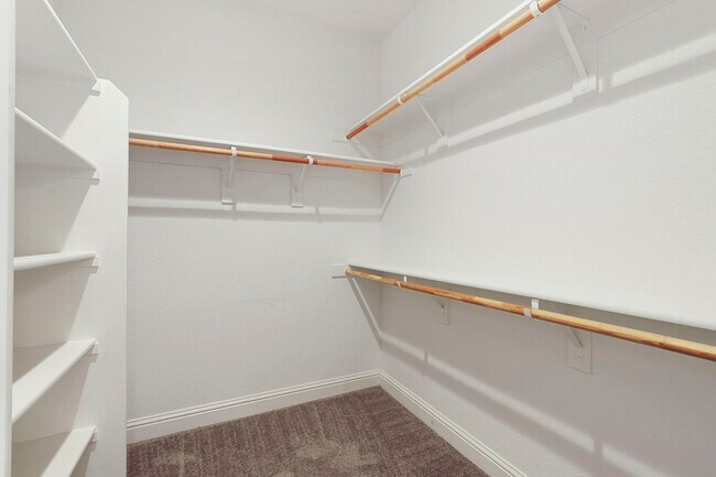 Building Photo - 3012 Salonie Ct