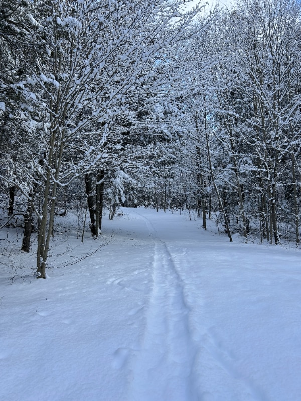 Building Photo - 316 E Mountain Rd