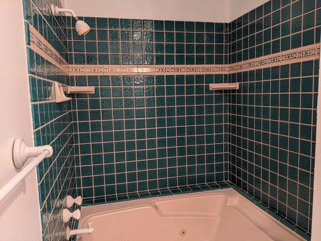 Guest Shower and Tub - 6050 Canterbury Dr