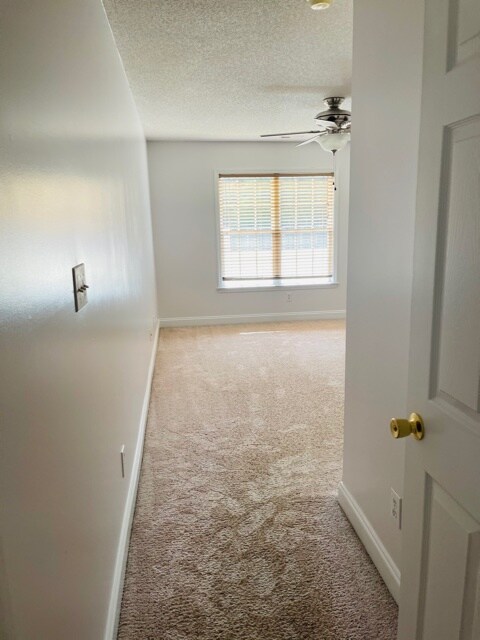 Building Photo - 209 Sea Bisquit Dr