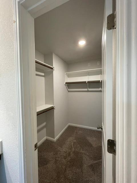 Building Photo - 12401 Amber Lynn Path