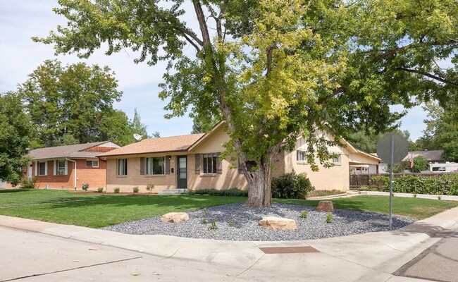 Primary Photo - Wonderful House in Fort Collins