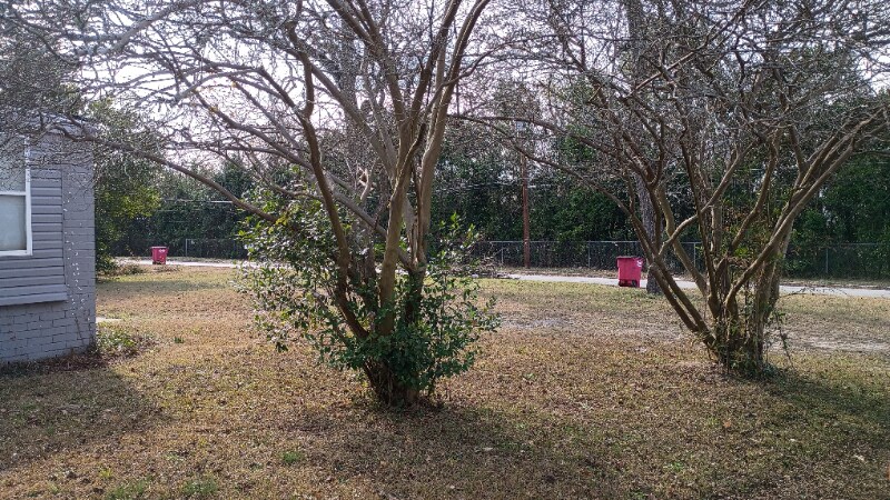 Building Photo - 1844 Christian Ave