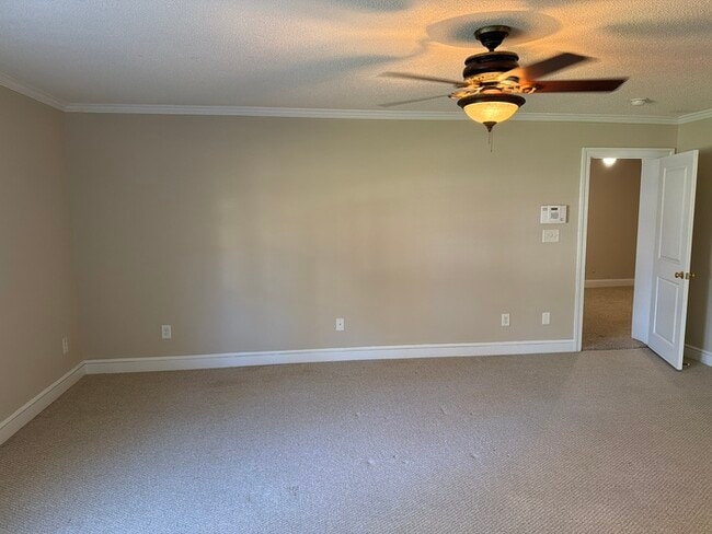 Building Photo - 427 Cedar St