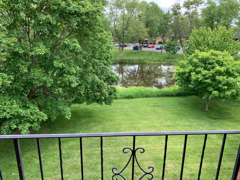 View From The Balcony - 1905 Austin Ave