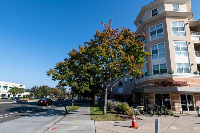 Building Photo - 20488 Stevens Creek Blvd