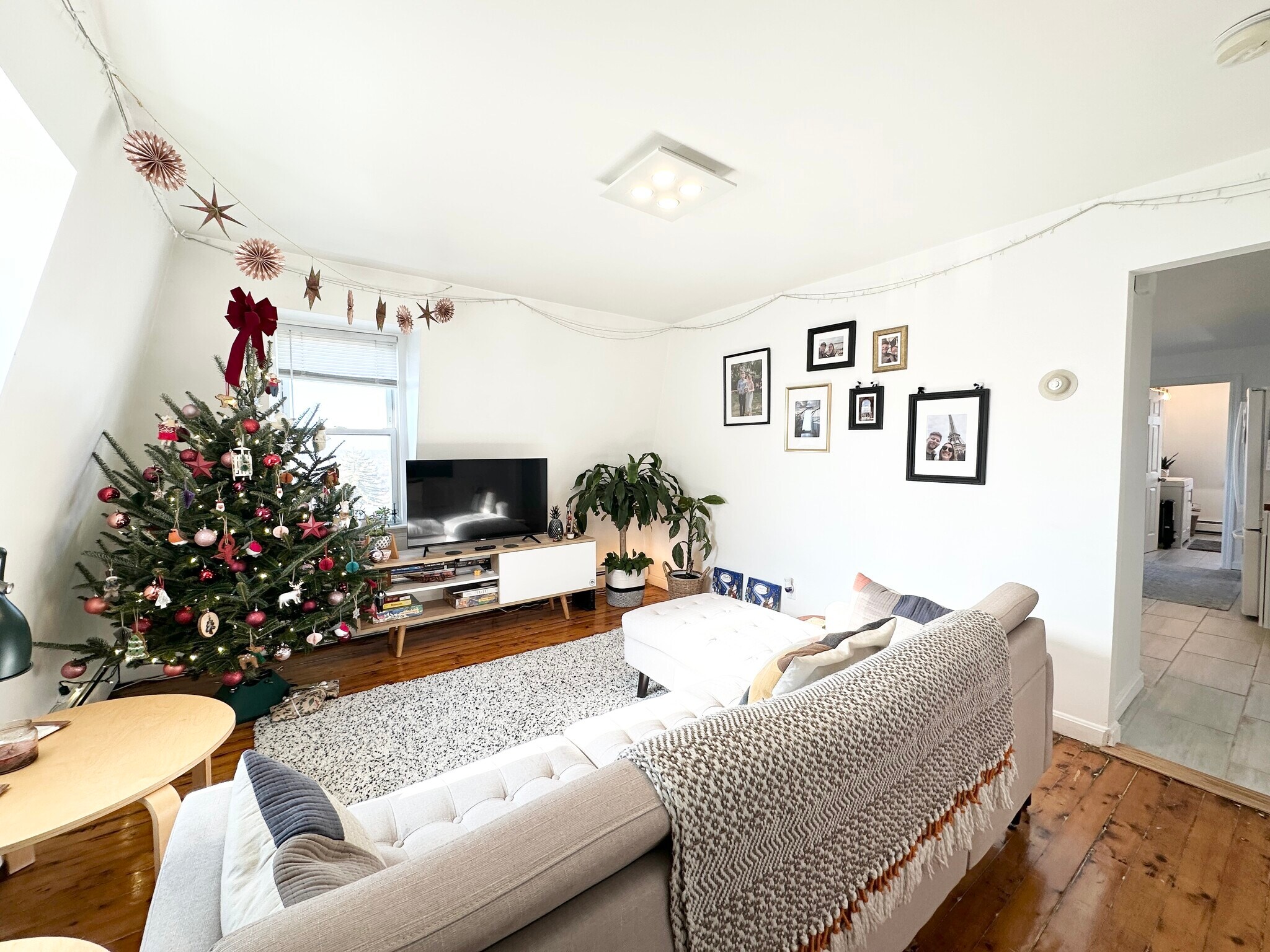 Building Photo - 44 Woodbine St