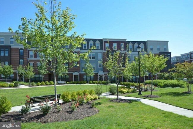 Building Photo - 3989 Norton Pl