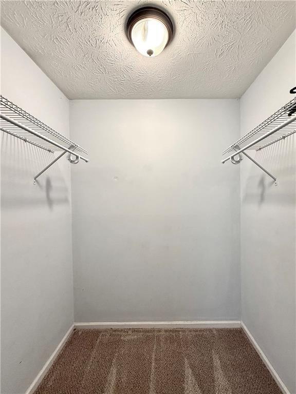 Building Photo - 57 Northdale Pl