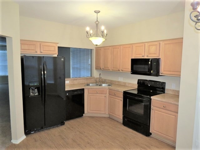 Building Photo - 8736 Arcadia Park Dr