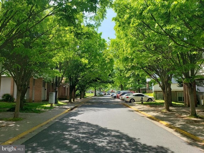 Building Photo - 18022 Royal Bonnet Cir