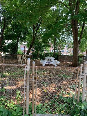Rear Fenced Yard - 835 E 16th St